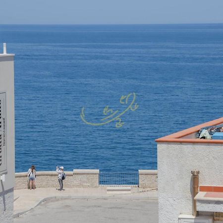 폴리나노 아마레 Td Casa Marevino Seaside Terrace With Panoramic Views 빌라 외부 사진